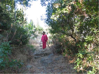 krshna im olivenhain